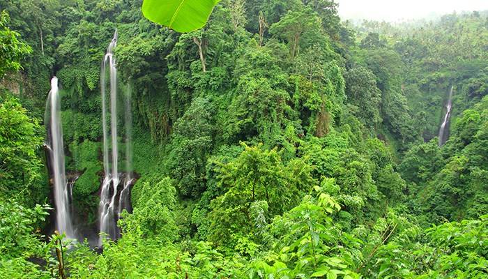 du-lich-indonesia-tu-tuc-sekumpul.waterfall.original.17592