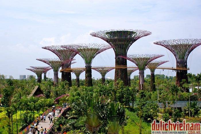 du-lich-singapore-malaysia-indonesia-vuon-garden-by-the-bay